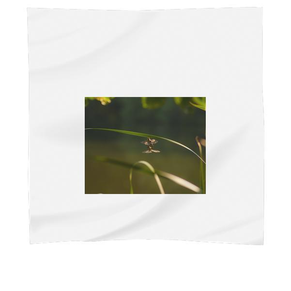 Nature Dragonflies Insects Scarf