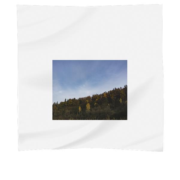 Green Trees Under Blue Sky During Daytime Scarf