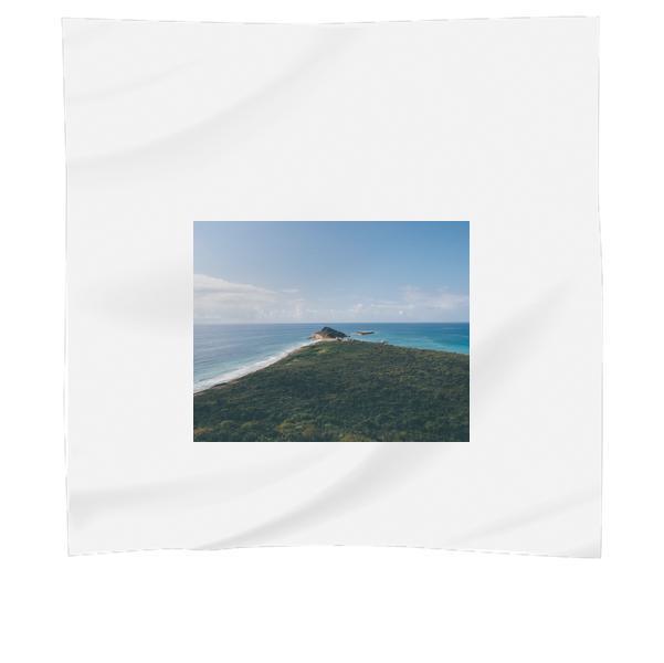 Green Tree On A Ocean View During Daytime Scarf