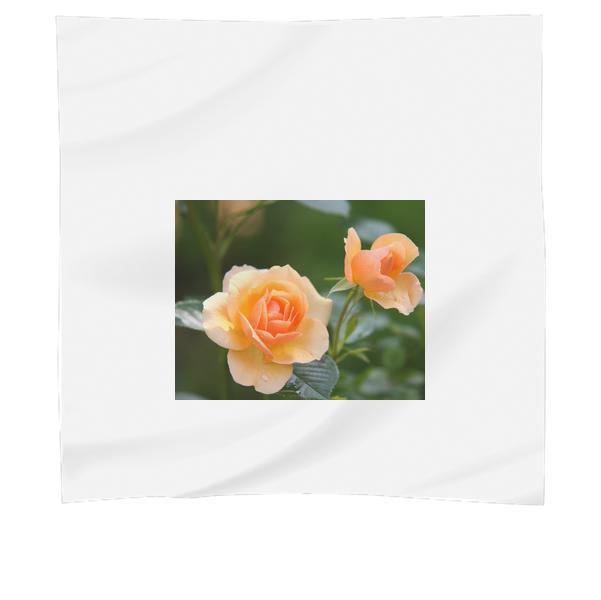 Orange Rose Flower In Bloom During Daytime Scarf