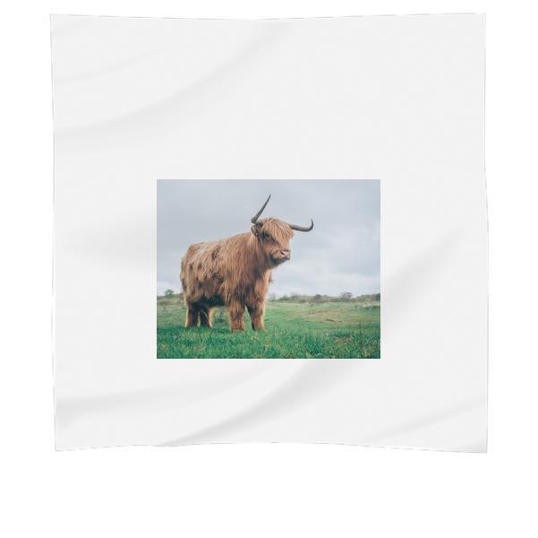 Field Animal Countryside Agriculture Scarf