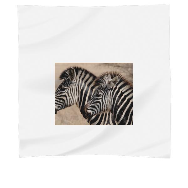 Africa Animals Wilderness Stripes Scarf