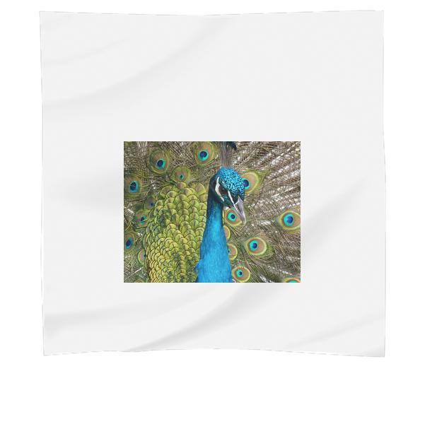 Blue Peacock Scarf