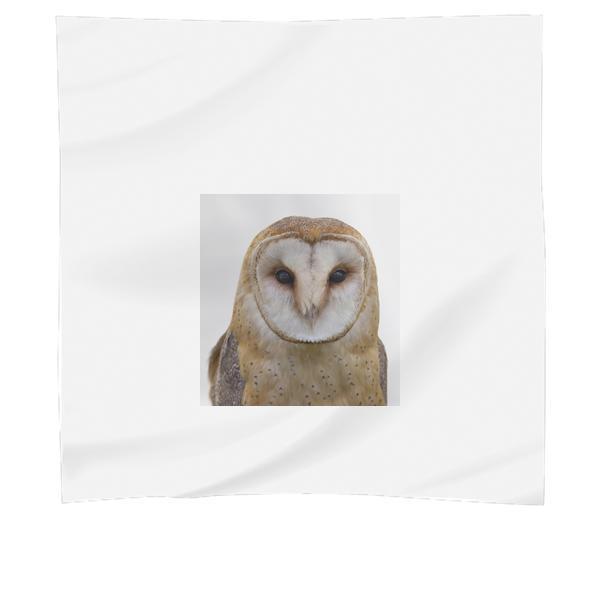White And Brown Owl Scarf
