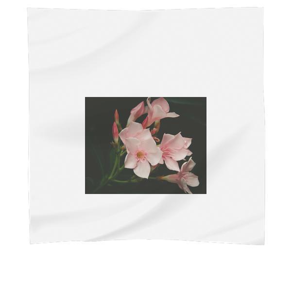 Close Up Photo Of Pink Petal Flower Scarf