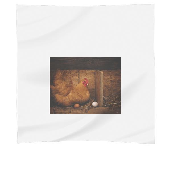 Brown Hen Near White Egg On Nest Scarf