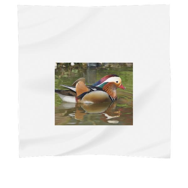 White And Blue Red Brown Feathered Bird Scarf