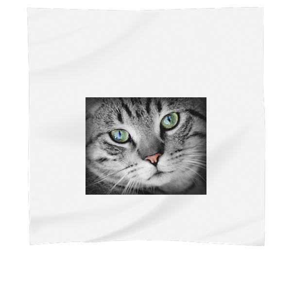 Animal Pet Cat CloseUp Scarf