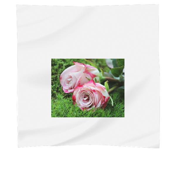 CloseUp Of Pink Rose Flower Scarf