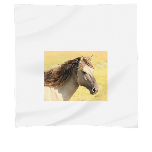 Animal Horse Pasture Mammal Scarf