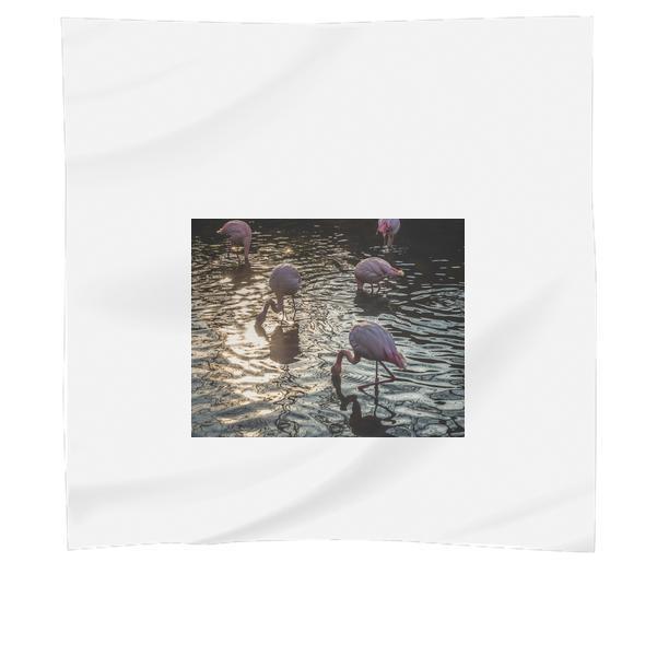 Flamingo Standing On Water During Daytime Scarf