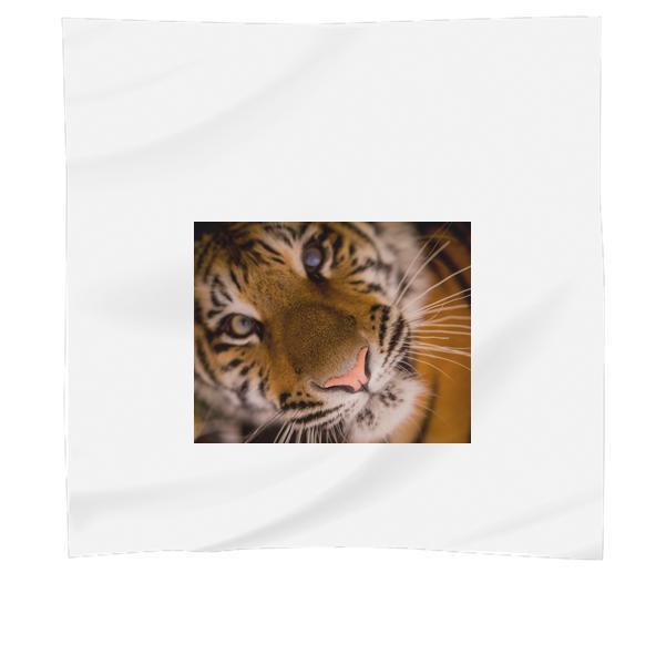 Animal CloseUp View Africa Wilderness Scarf