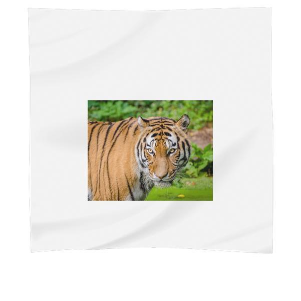 Tiger On Green Lawn Grass Scarf