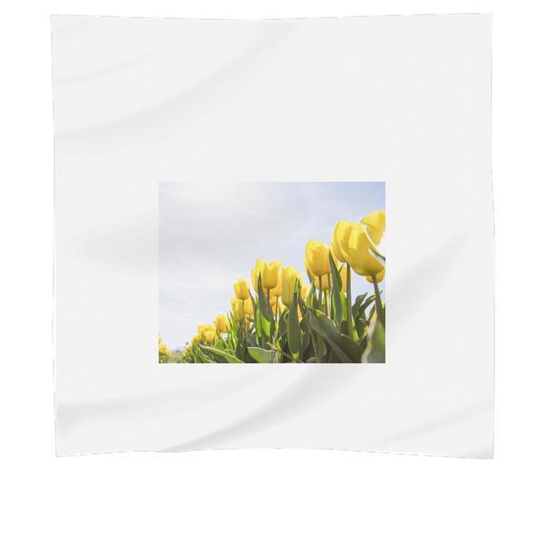 Yellow Tulip Flower Field During Daytime Scarf