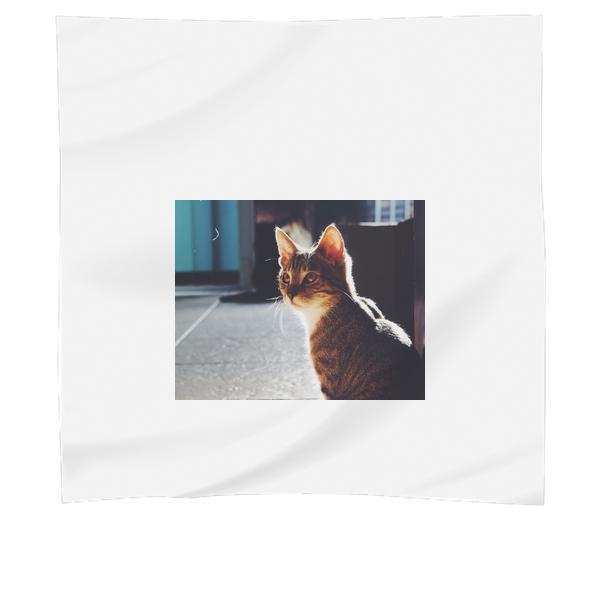 Gray And Black Tabby Cat On Floor Panel Scarf