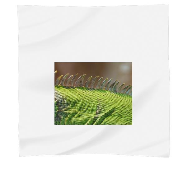 Shallow Focus Photography Of Green And Black Animal Skin During Daytime Scarf