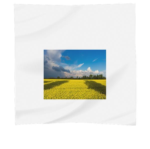 Green Field Under White And Blue Clouds During Daytime Scarf