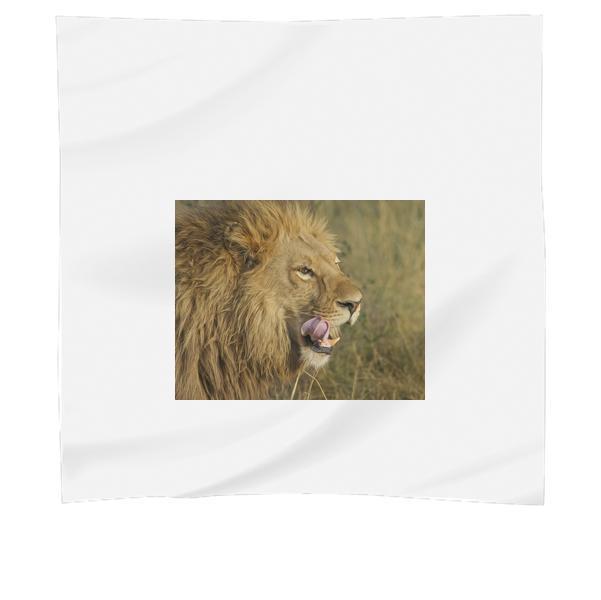 Lion On Green Grass Field Scarf