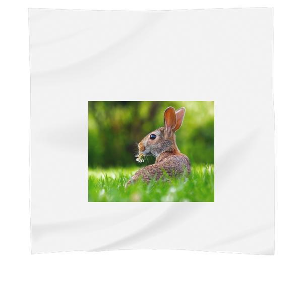 CloseUp Of An Animal Eating Grass Scarf