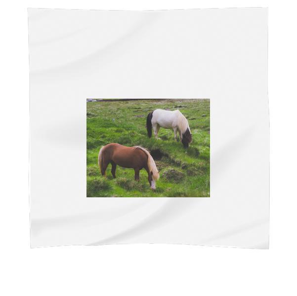 Stallion Eating Grass On Field During Daytime Scarf