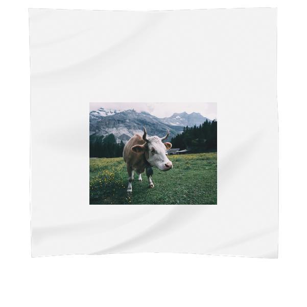 White And Brown Cow Near Mountain During Daytime Scarf