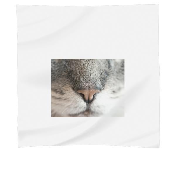 Animal Pet CloseUp View Hairs Scarf