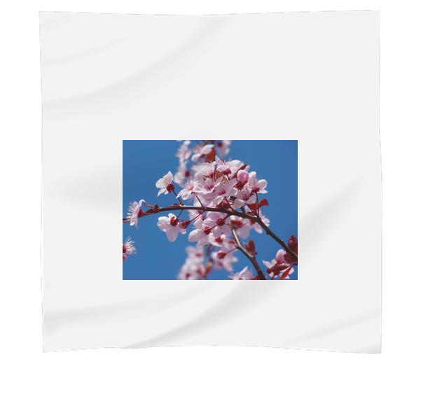 Photo Of Cherry Blossom Scarf