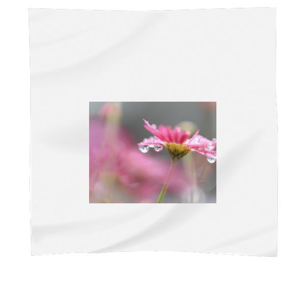 Pink Petal Flower In Macro Photography Scarf