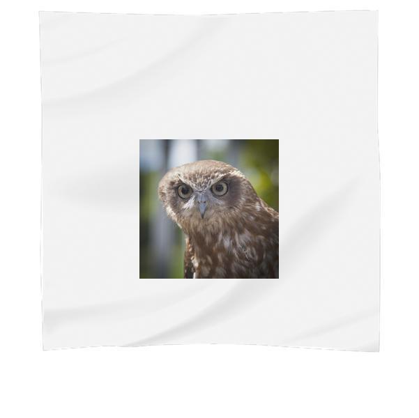 Brown White Owl Scarf