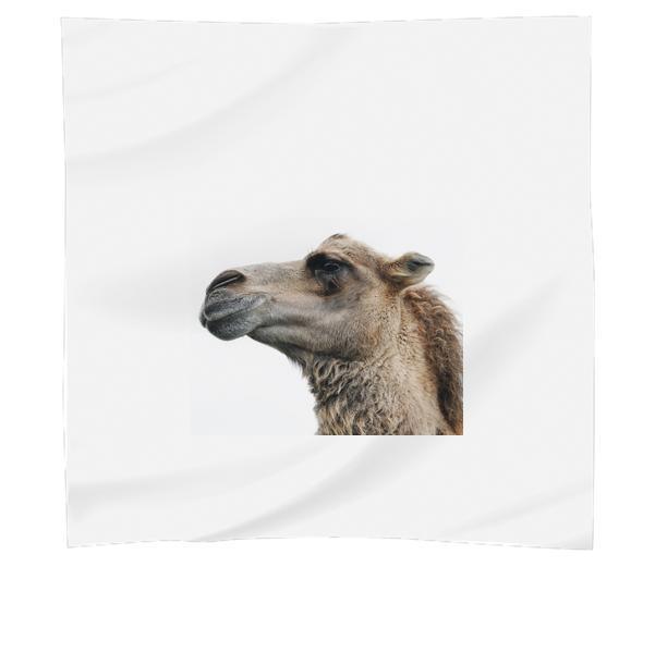 Close Up Photo Of Camel Scarf