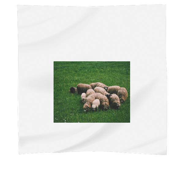 Flock Of Sheep On Green Grass Field At Daytime Scarf