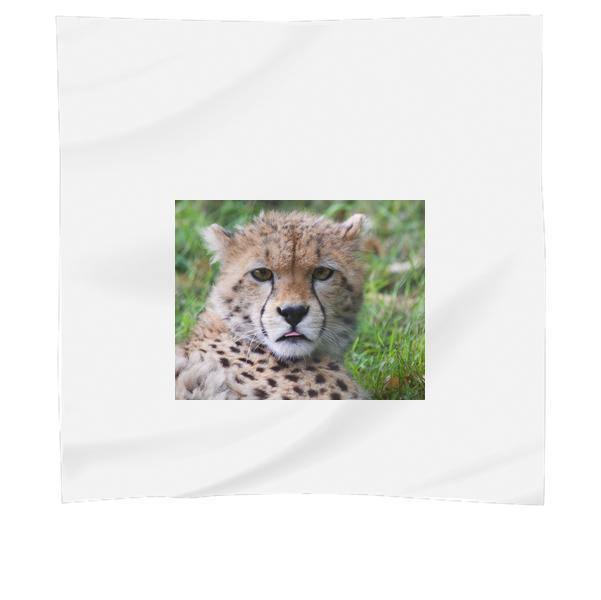 Animal Africa Wilderness Zoo Scarf