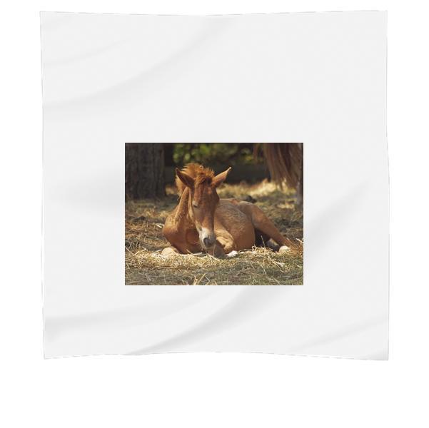 Animal Farm Horses Horse Scarf