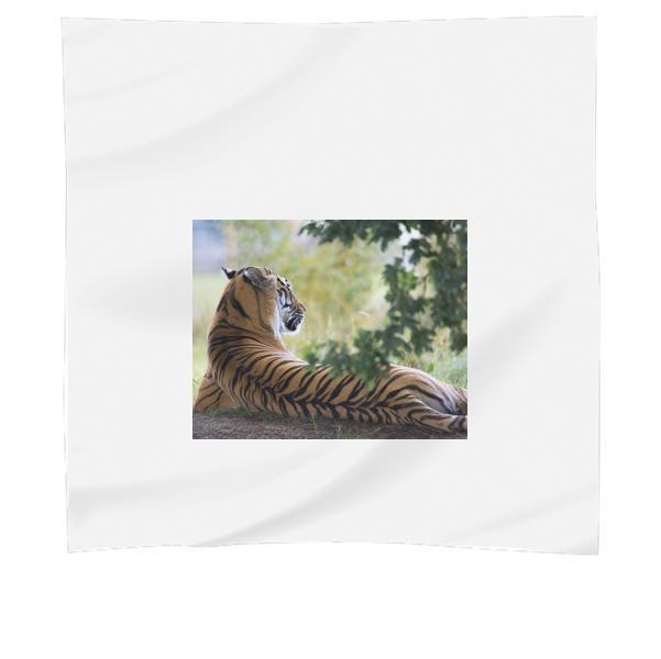Tiger Lying Down During Daytime Scarf