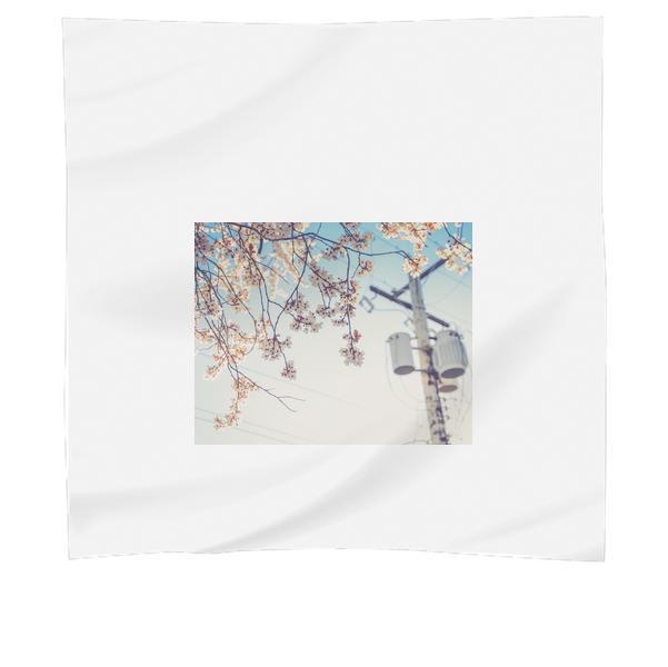 White Tree Near On Electric Post During Daytime Scarf
