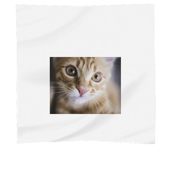 Yellow Tabby Cat Scarf