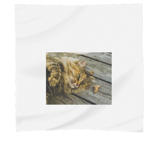 Gray And Yellow Tabby Cat Scarf