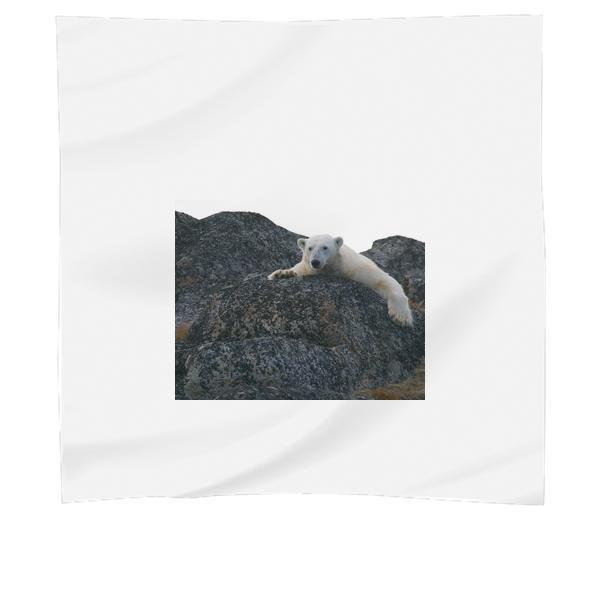 Polar Bear Lying On Black Rock During Daytime Scarf