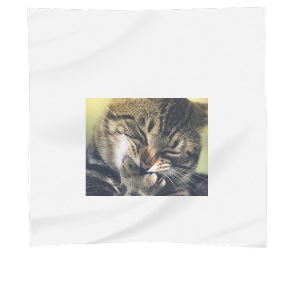 Black Tabby Cat Scarf