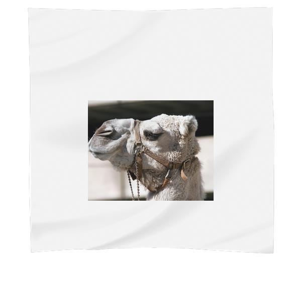 Close Up Photo Of Gray Camel Scarf