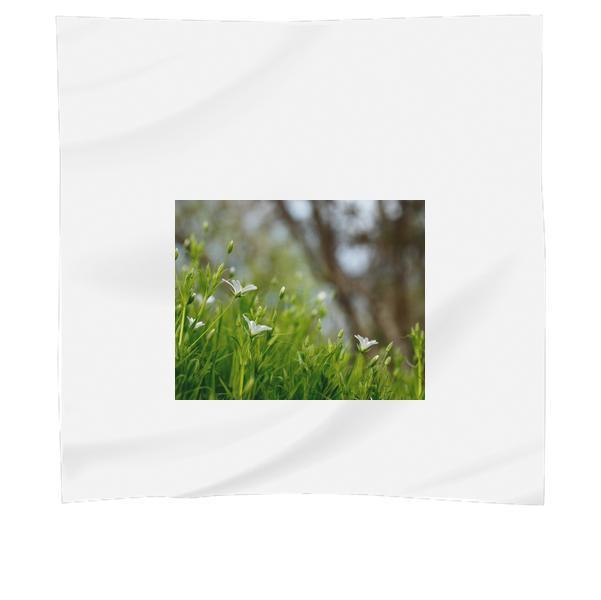 Green Grass Field With White Flowers During Daytime Scarf