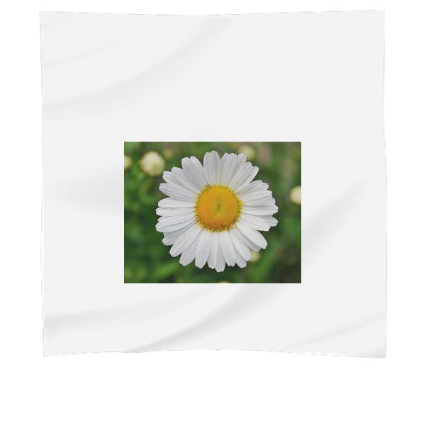 White Daisy Flower In Focus Photography Scarf