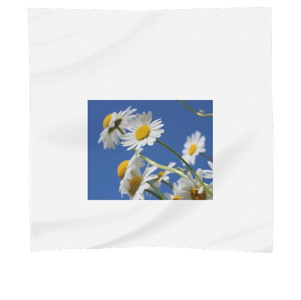 Close Up Photo White Petaled Flower Scarf