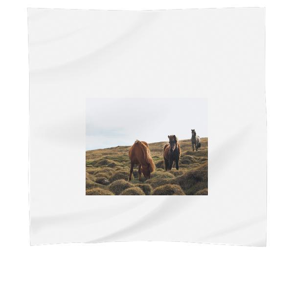 3 Horses On Green Grass During Daytime Scarf