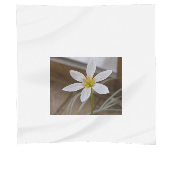 Petals Plant Flower Macro Scarf