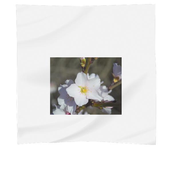 White Petaled Flower During Daytime Scarf