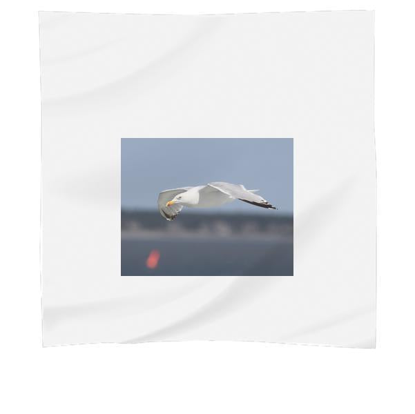 Auto Focus Photography Of Flying White Bird During Daytime Scarf