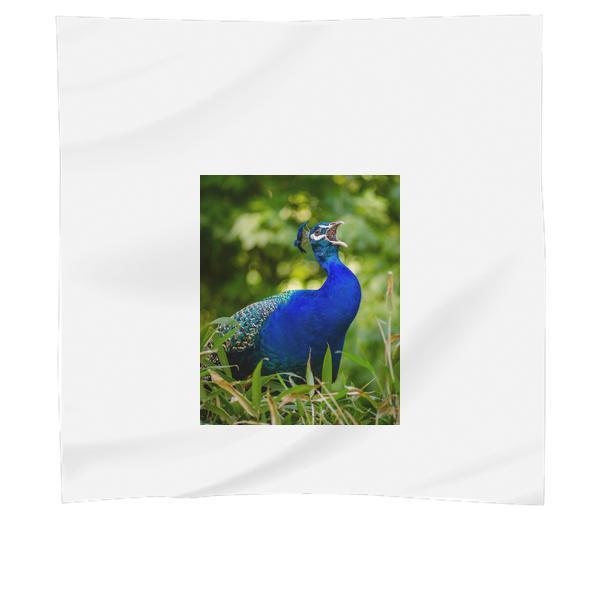 Blue And Green Peacock On Grass Scarf