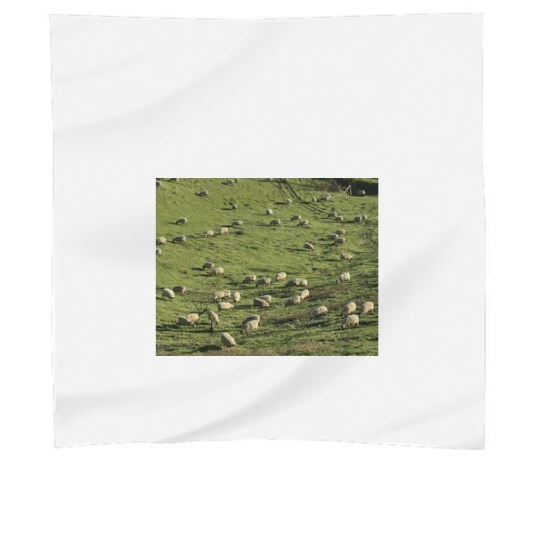 Sheep Herd On Green Grass Field Scarf