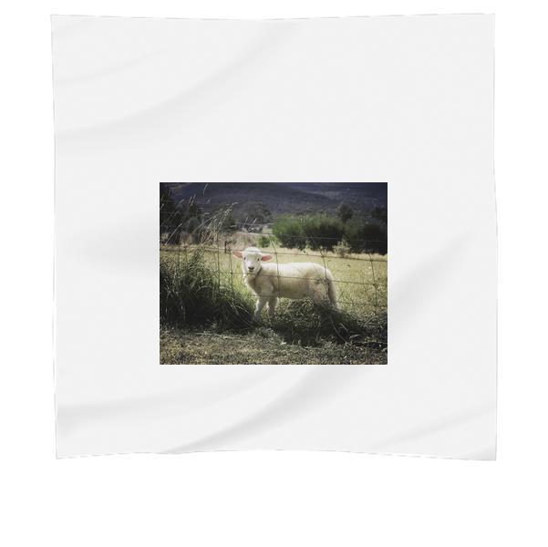 Field Animal Countryside Farm Scarf